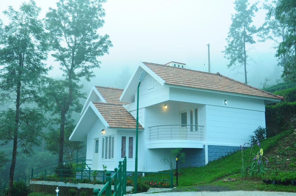 Falcon Crest Вагамон Стая снимка